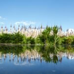 a body of water with trees and buildings in the background